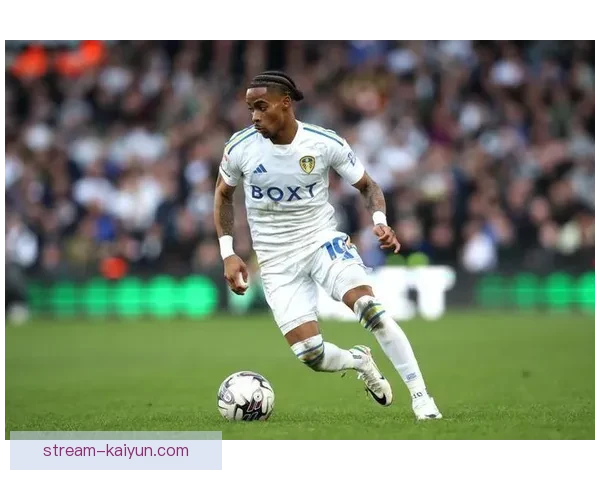 利兹联赛季预测