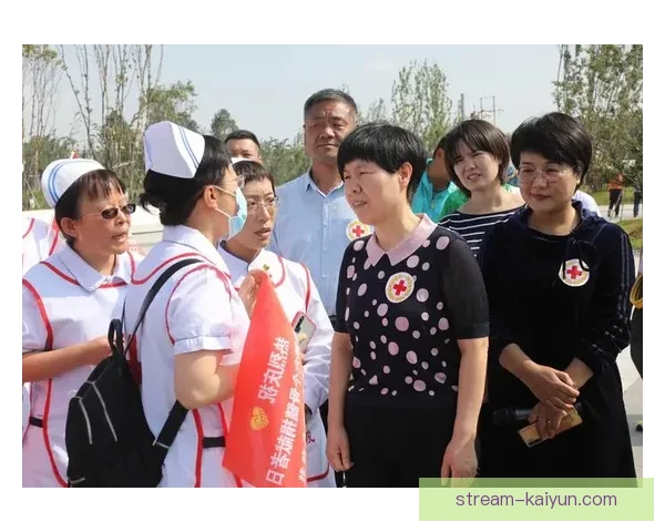 瑞士球迷展示红十字标志表达国家认同